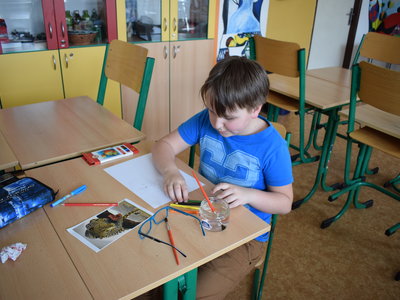 Obrázek 4239 