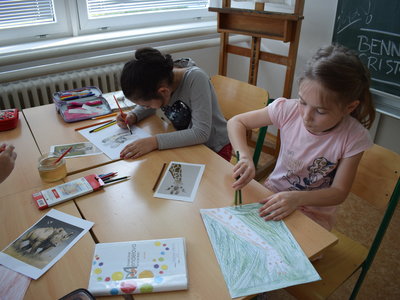 Obrázek 4243 