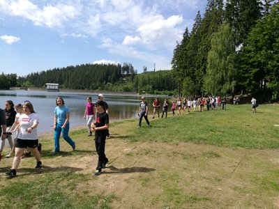 Obrázek 4274 