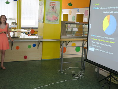 Obrázek 4575 