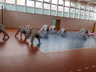 Obrázek 4783 
