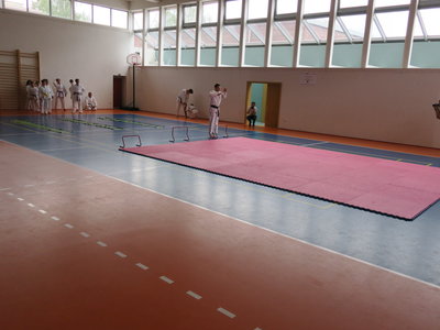 Obrázek 4786 