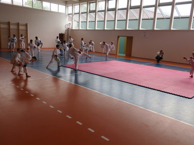 Obrázek 4792 