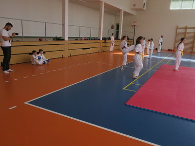 Obrázek 4813 