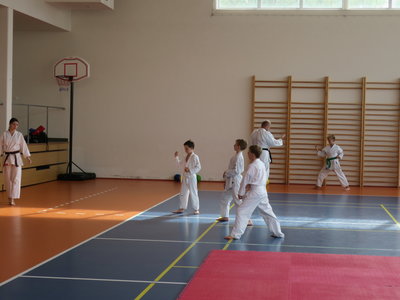 Obrázek 4807 