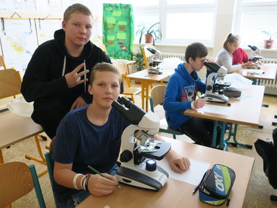 Obrázek 5368 