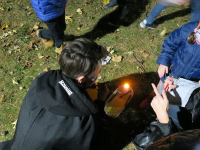 Obrázek 5446 