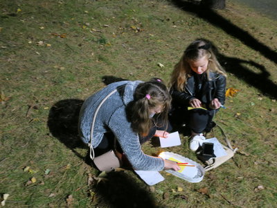 Obrázek 5449 
