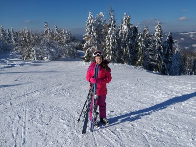 Obrázek 6019 