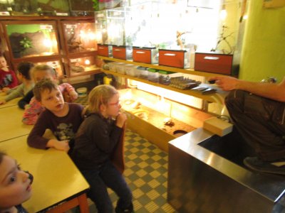Obrázek 6327 