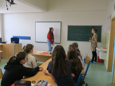 Obrázek 6363 