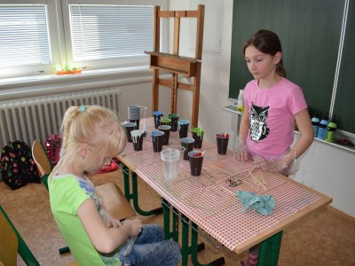 Obrázek 6579 