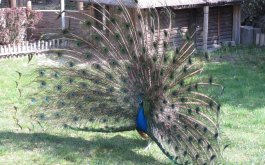 Titulní obrázek k příspěvku Výlet do ZOO se vydařil