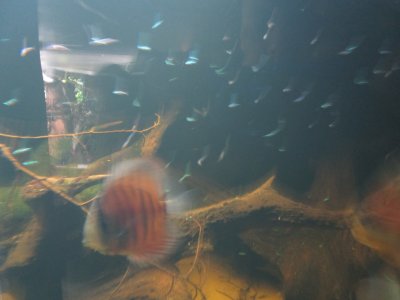 Obrázek 6716 