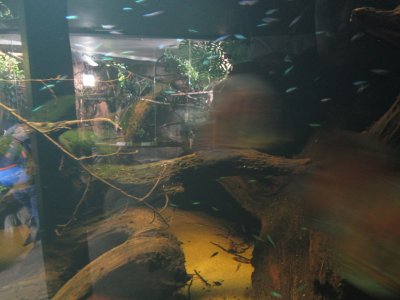 Obrázek 6718 