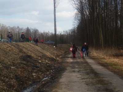 Obrázek 6745 