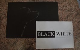 Titulní obrázek k příspěvku Black&White