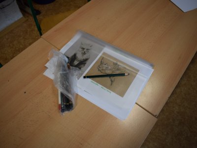 Obrázek 6875 