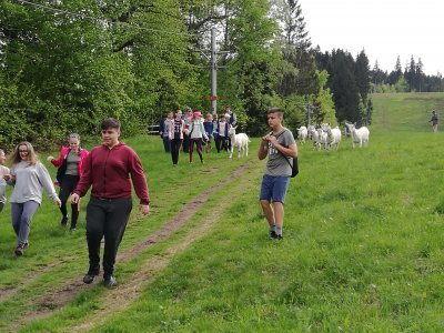 Obrázek 6909 