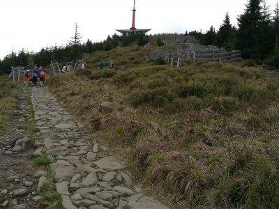 Obrázek 6939 
