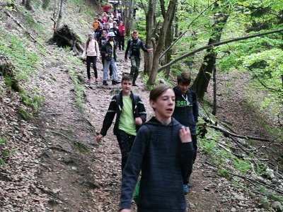 Obrázek 6951 