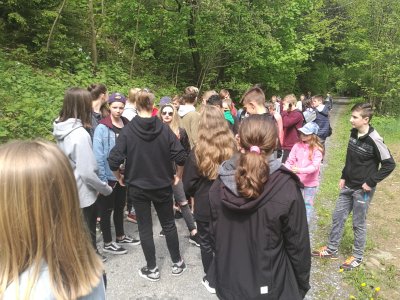 Obrázek 6985 