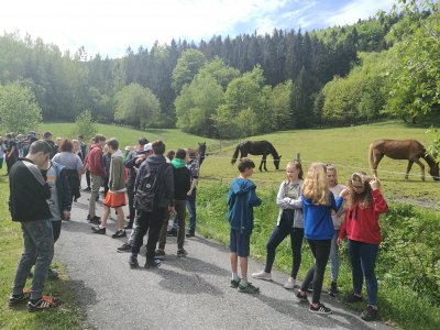 Obrázek 6988 