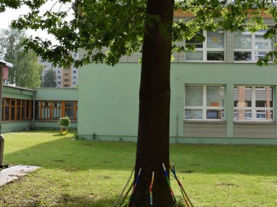 Obrázek 7193 