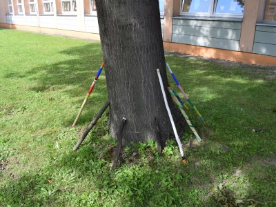 Obrázek 7195 