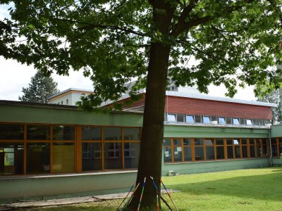 Obrázek 7201 