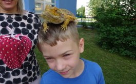Titulní obrázek k příspěvku Den zvířat