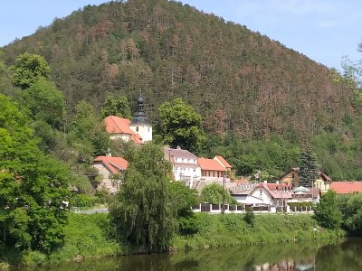 Obrázek 7369 