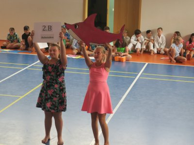 Obrázek 7499 
