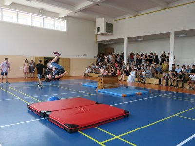 Obrázek 7545 
