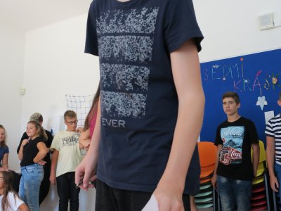 Obrázek 7738 