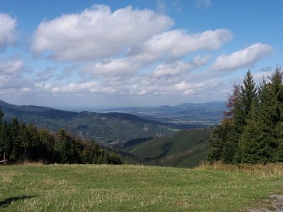 Obrázek 7799 