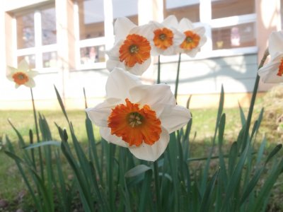 Obrázek 7941 