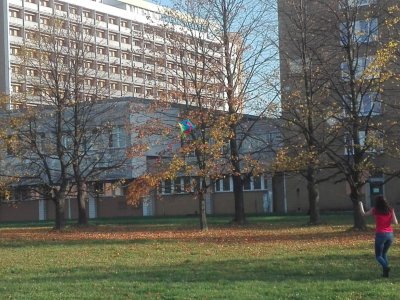 Obrázek 7965 