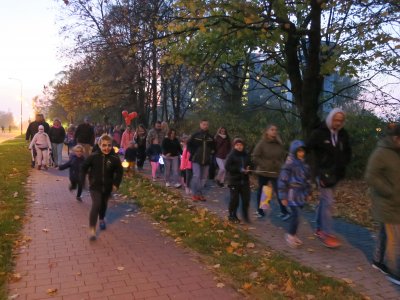 Obrázek 8097 