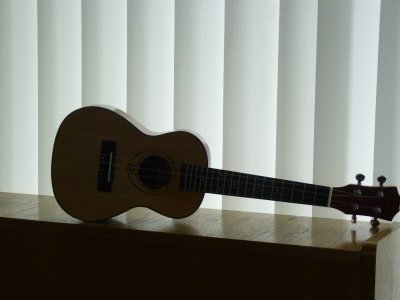 Obrázek 8184 