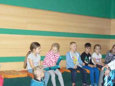 Obrázek 8155 