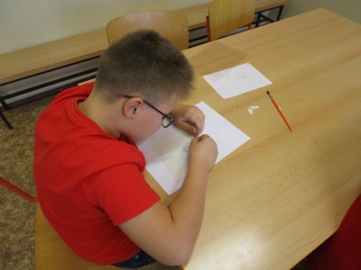 Obrázek 8306 
