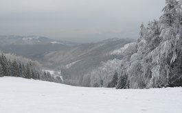 Titulní obrázek k příspěvku Lyžák - 2. den