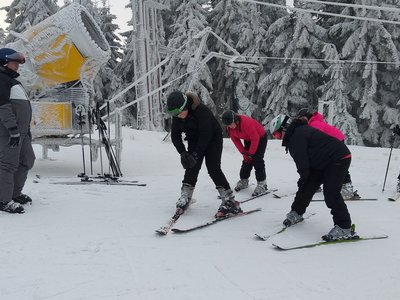 Obrázek 8713 
