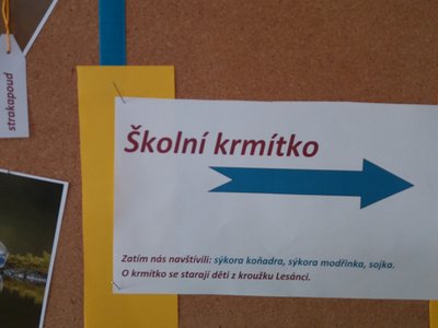 Obrázek 8892 