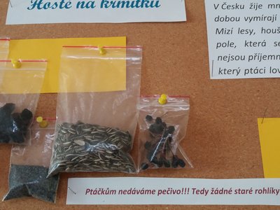 Obrázek 8891 