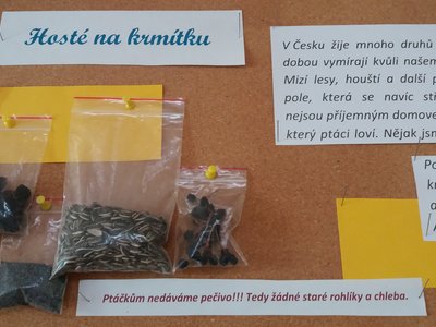 Obrázek 8889 