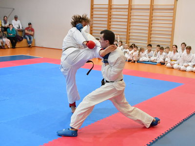 Obrázek 9133 