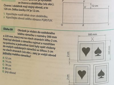 Obrázek 9339 