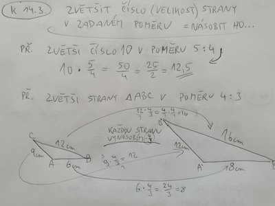 Obrázek 9493 